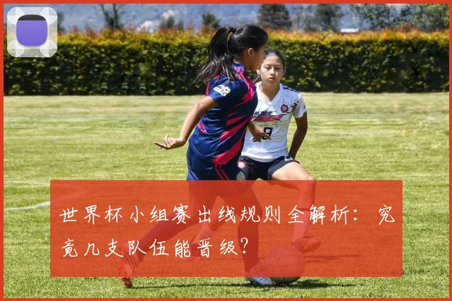 世界杯小组赛出线规则全解析:究竟几支队伍能晋级?