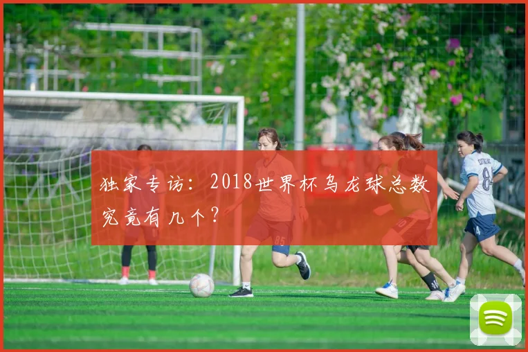 独家专访：2018世界杯乌龙球总数究竟有几个？