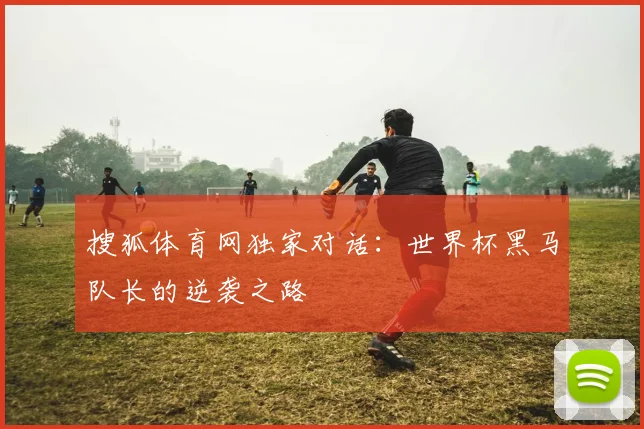 搜狐体育网独家对话：世界杯黑马队长的逆袭之路