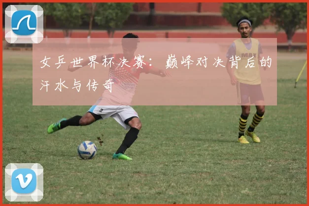 女乒世界杯决赛：巅峰对决背后的汗水与传奇
