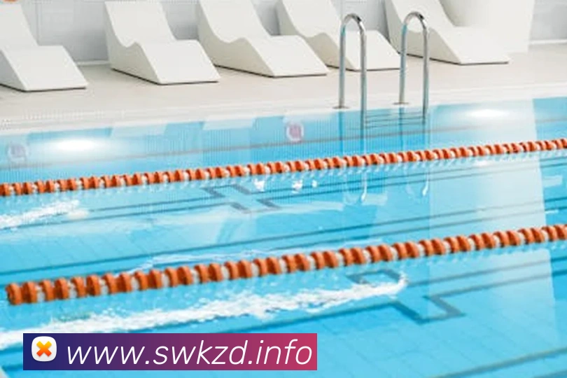 九游体育最新官网发展历程