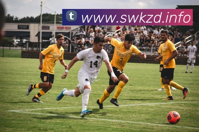mksports在线登录入口发展历程